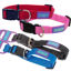 Picture of Plain Nylon Dog Collar