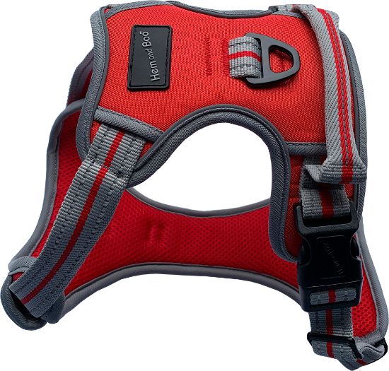 Hem and Boo. Sports Harness - Reflective NEW RED NOW AVAILABLE!